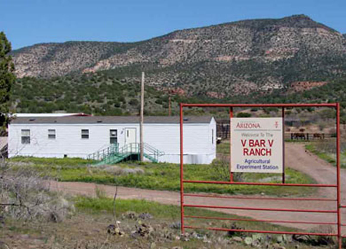 V Bar V Ranch